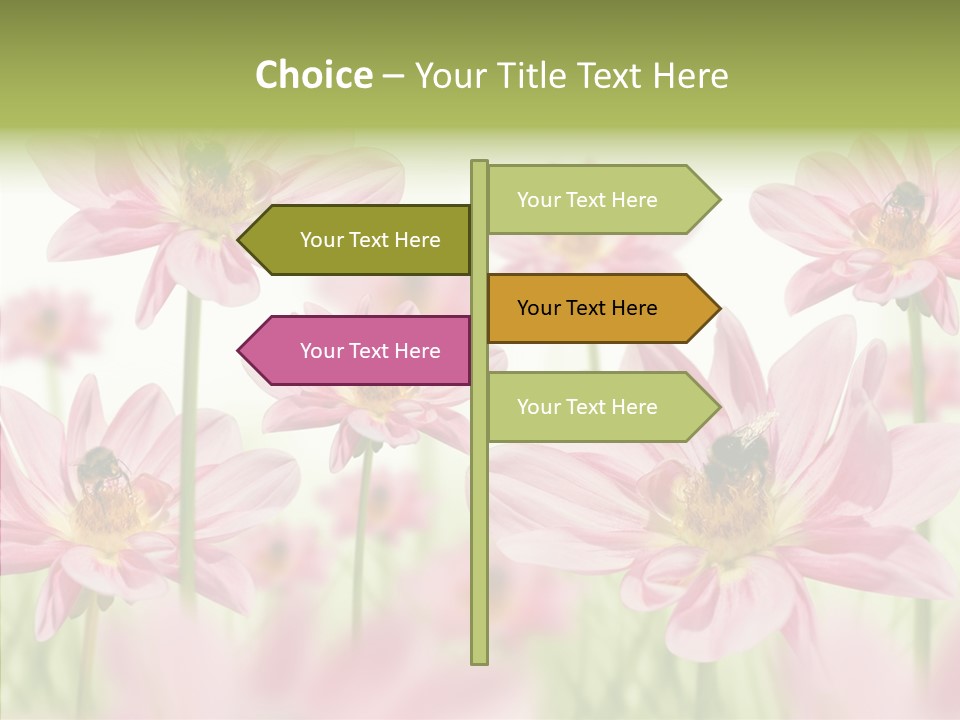 Cold Bee Collect PowerPoint Template