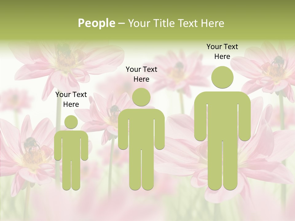 Cold Bee Collect PowerPoint Template