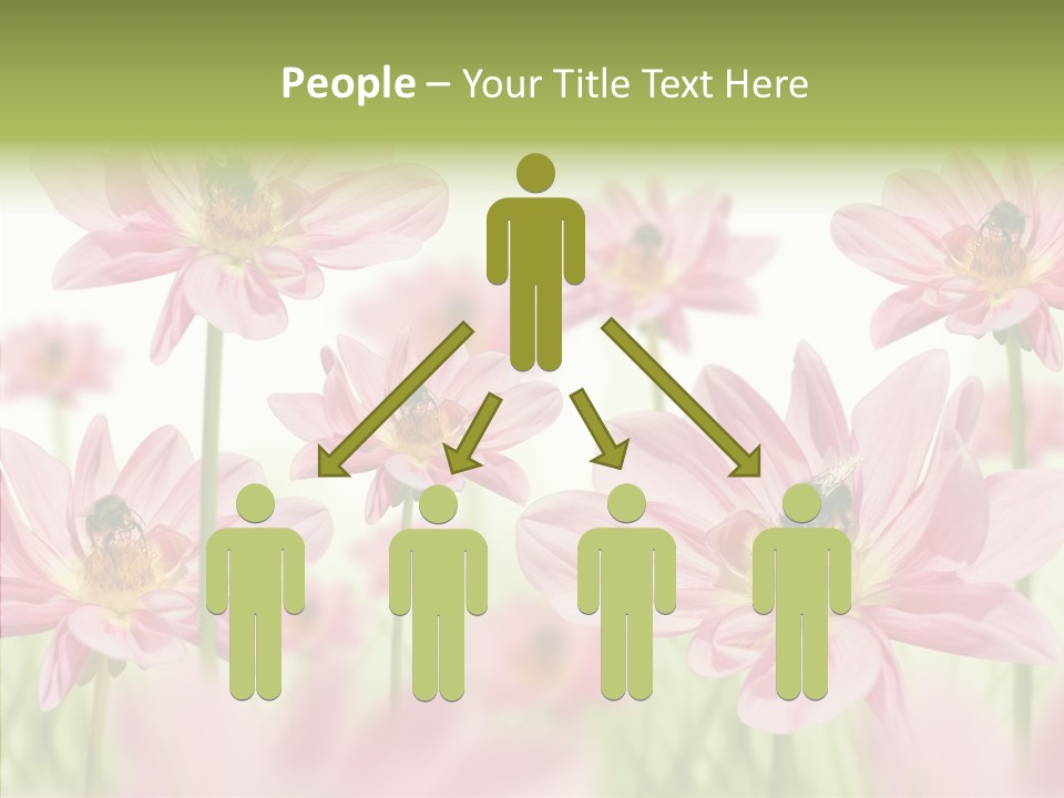 Cold Bee Collect PowerPoint Template