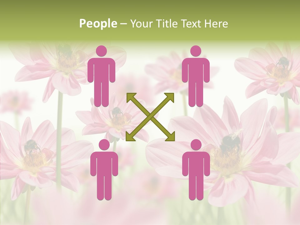 Cold Bee Collect PowerPoint Template