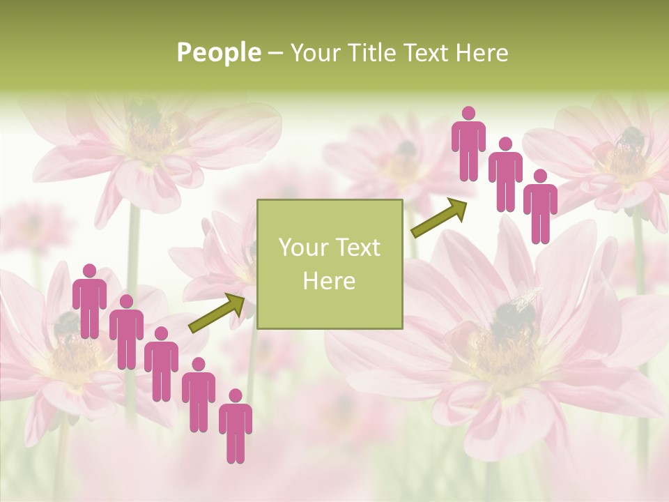 Cold Bee Collect PowerPoint Template