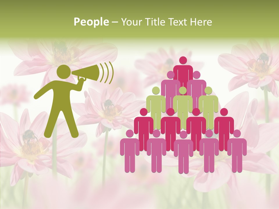 Cold Bee Collect PowerPoint Template