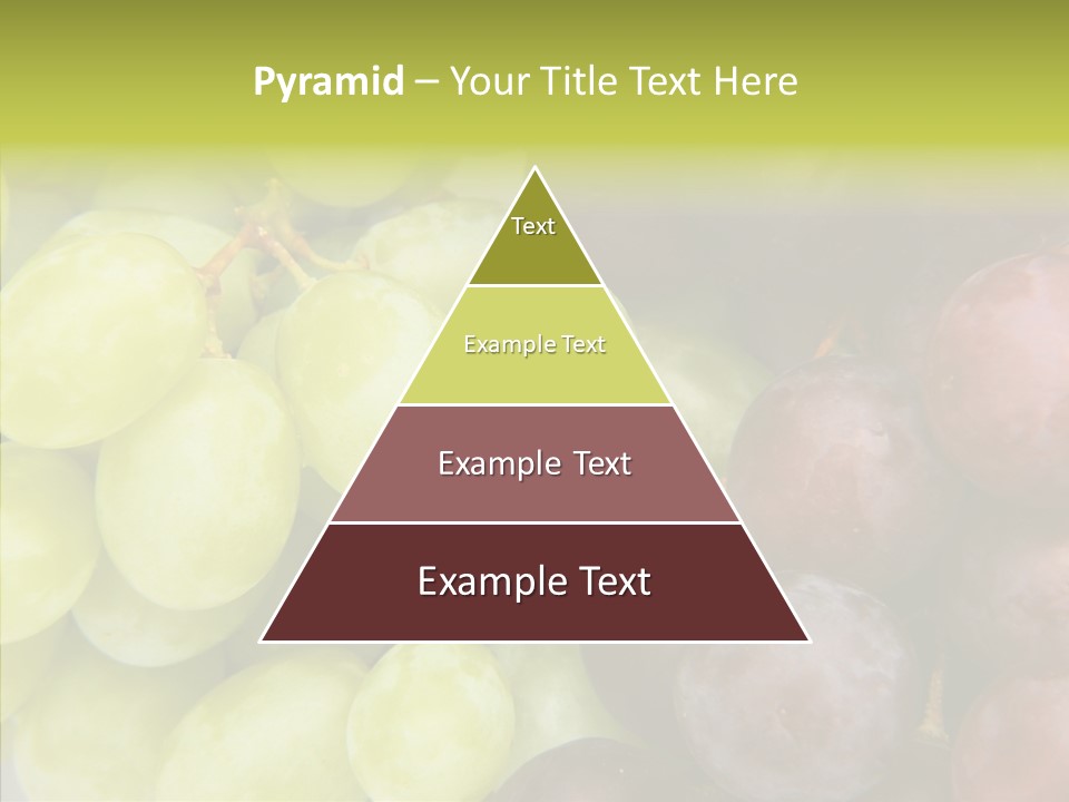 Alco Stalk Diet PowerPoint Template