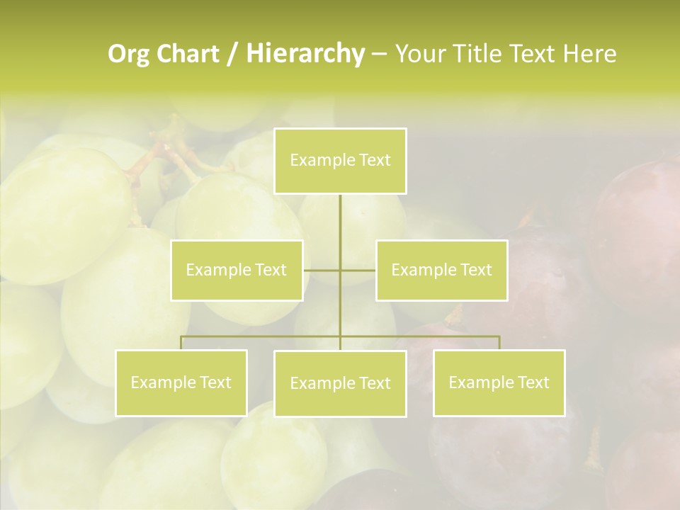 Alco Stalk Diet PowerPoint Template