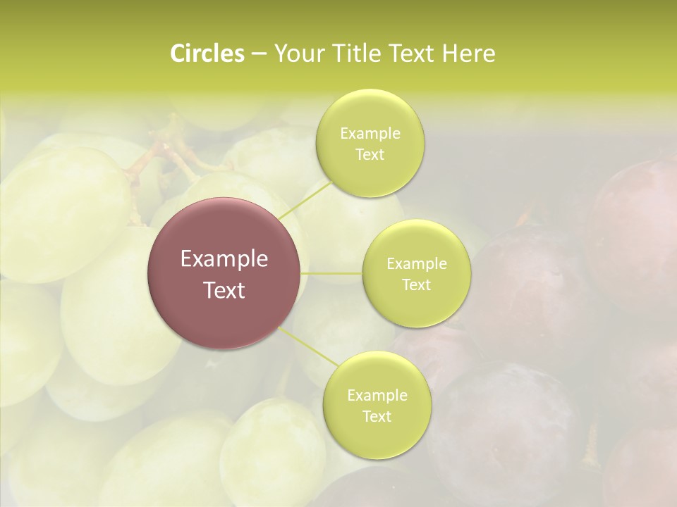 Alco Stalk Diet PowerPoint Template