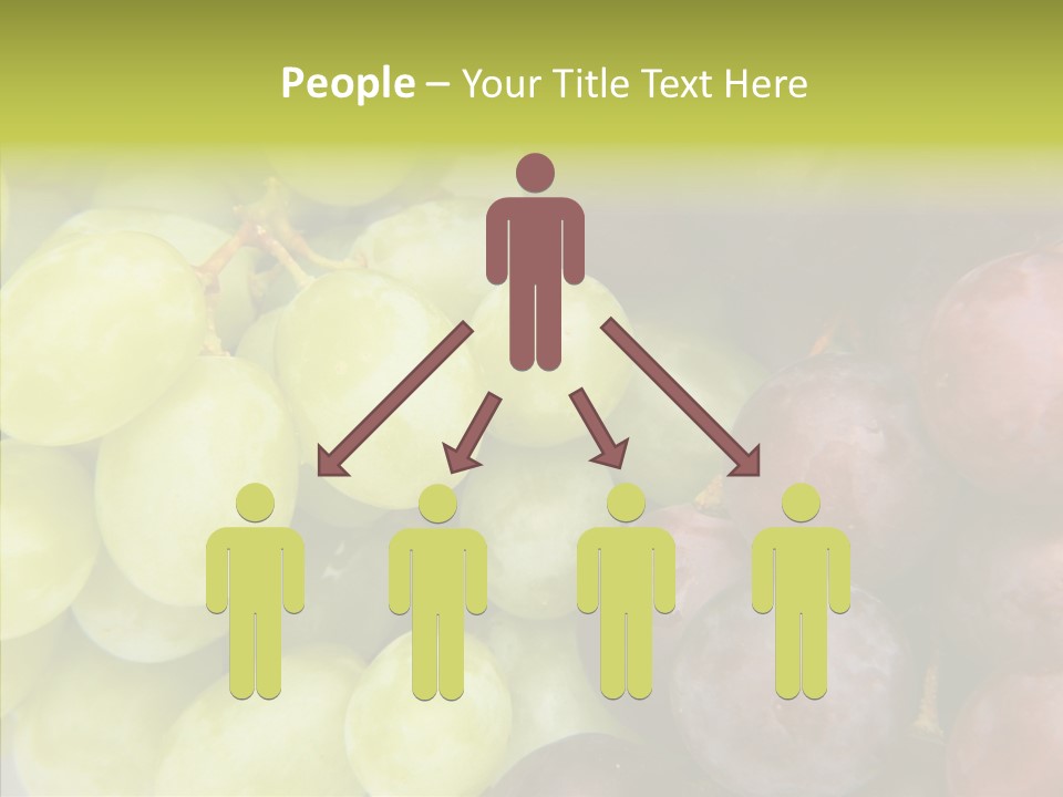 Alco Stalk Diet PowerPoint Template