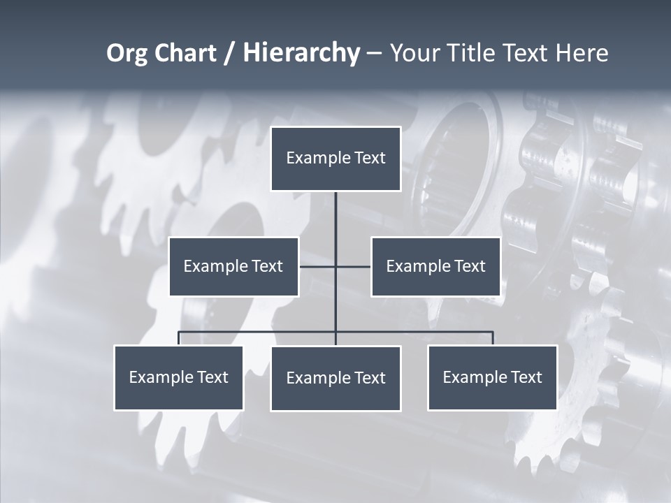 Beef Graze Eating PowerPoint Template