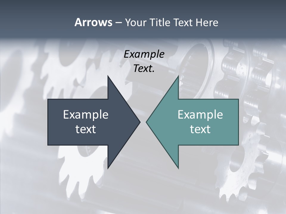 Beef Graze Eating PowerPoint Template