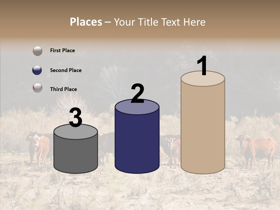 Beef Graze Eating PowerPoint Template