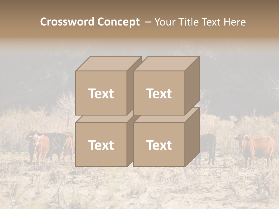 Beef Graze Eating PowerPoint Template