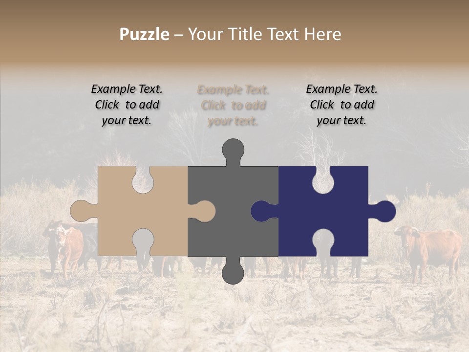 Beef Graze Eating PowerPoint Template