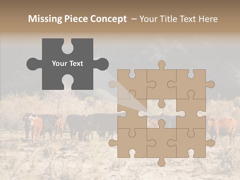 Beef Graze Eating PowerPoint Template