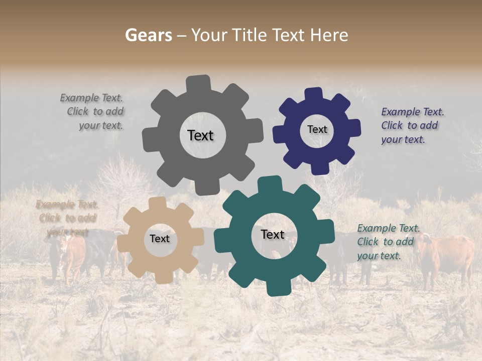 Beef Graze Eating PowerPoint Template