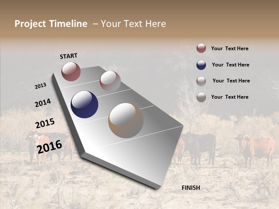 Beef Graze Eating PowerPoint Template