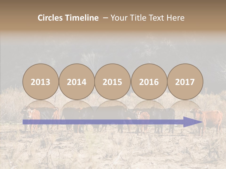 Beef Graze Eating PowerPoint Template