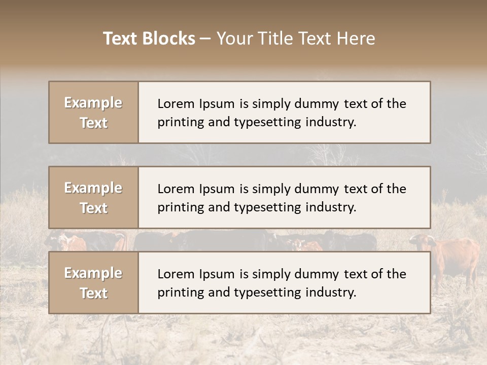 Beef Graze Eating PowerPoint Template