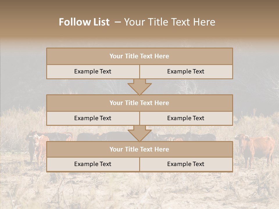 Beef Graze Eating PowerPoint Template