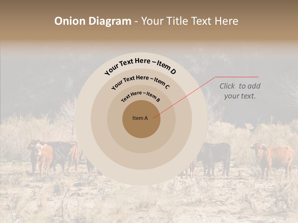 Beef Graze Eating PowerPoint Template