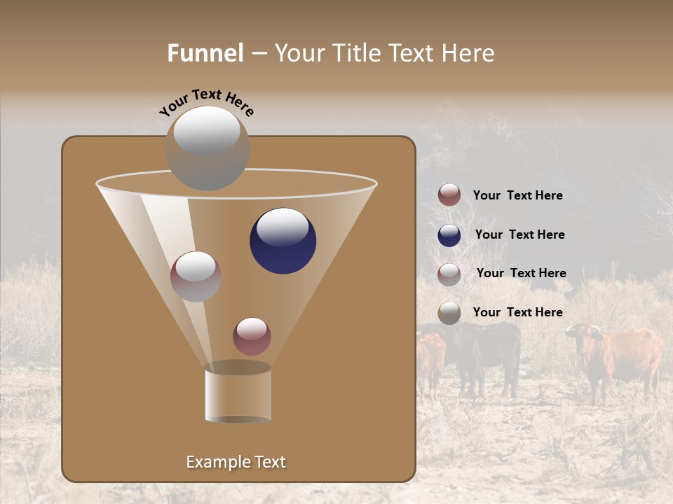 Beef Graze Eating PowerPoint Template