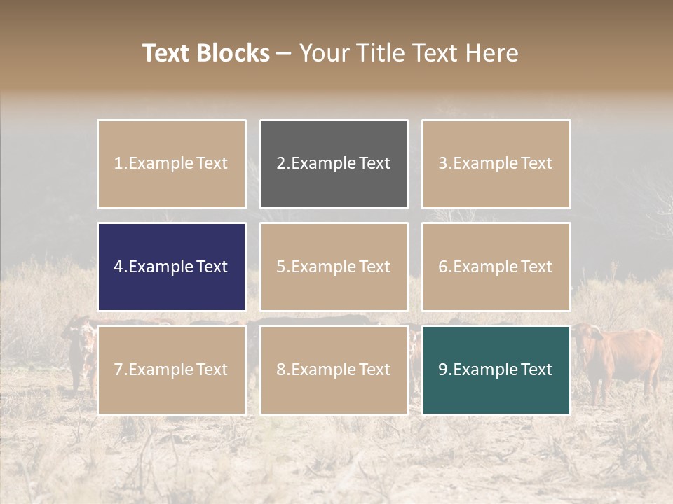 Beef Graze Eating PowerPoint Template