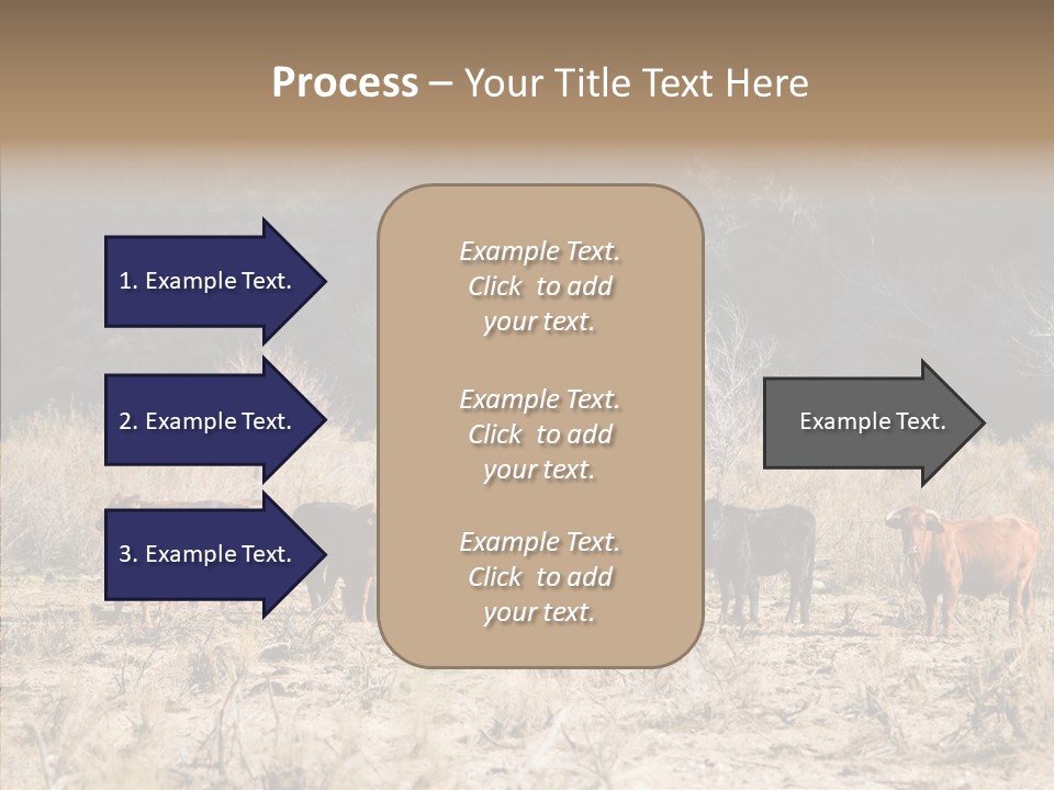 Beef Graze Eating PowerPoint Template