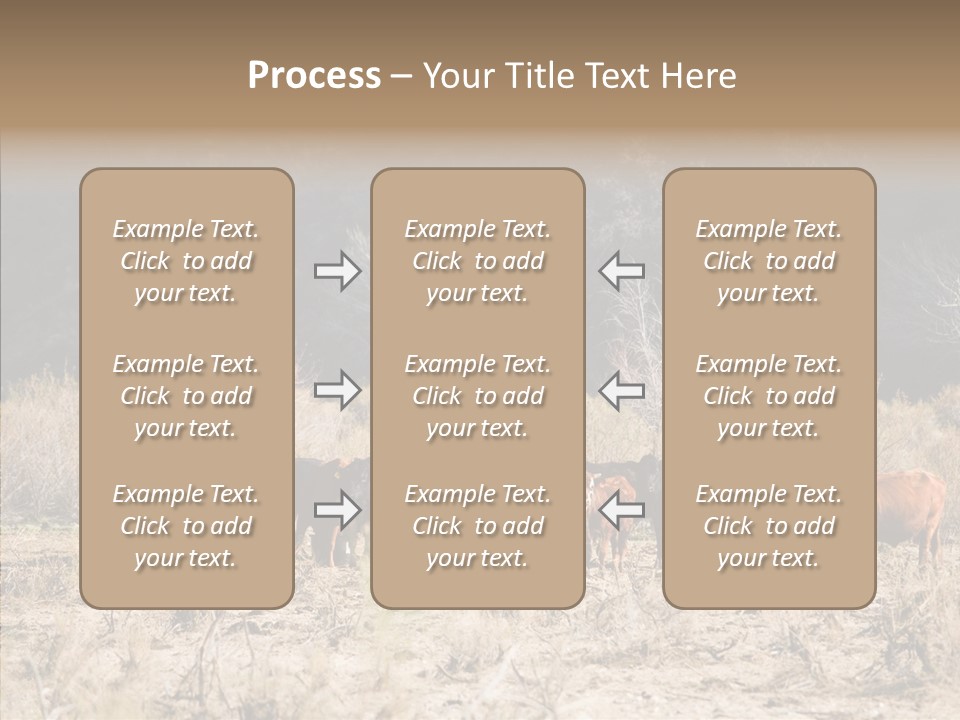 Beef Graze Eating PowerPoint Template