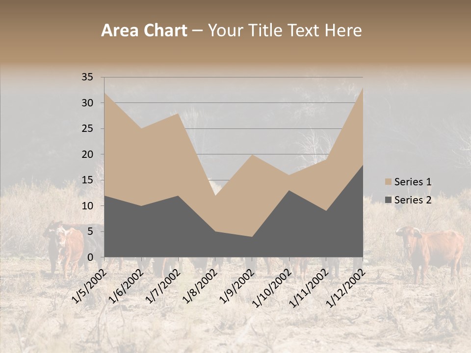Beef Graze Eating PowerPoint Template