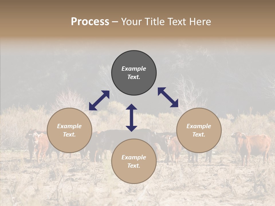 Beef Graze Eating PowerPoint Template