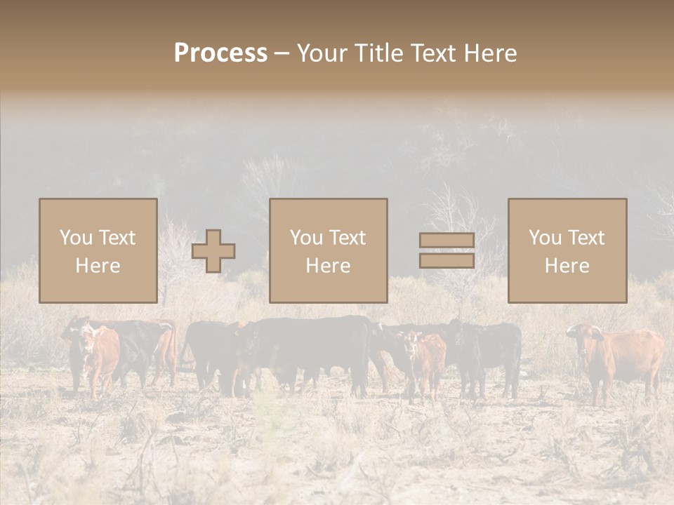 Beef Graze Eating PowerPoint Template