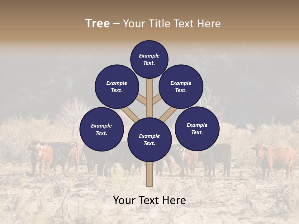 Beef Graze Eating PowerPoint Template