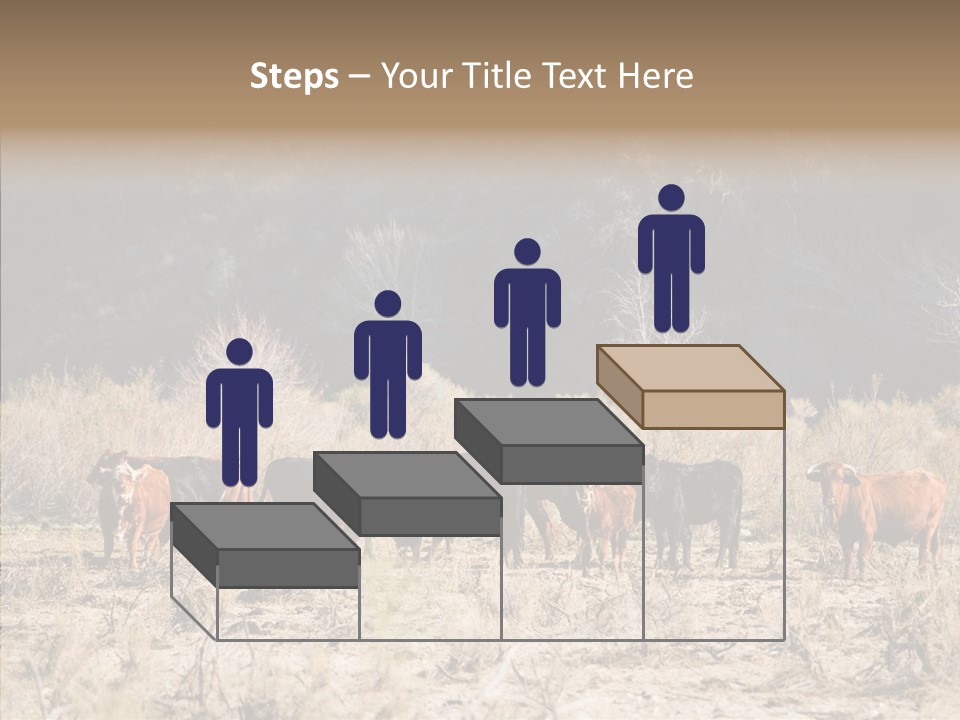 Beef Graze Eating PowerPoint Template