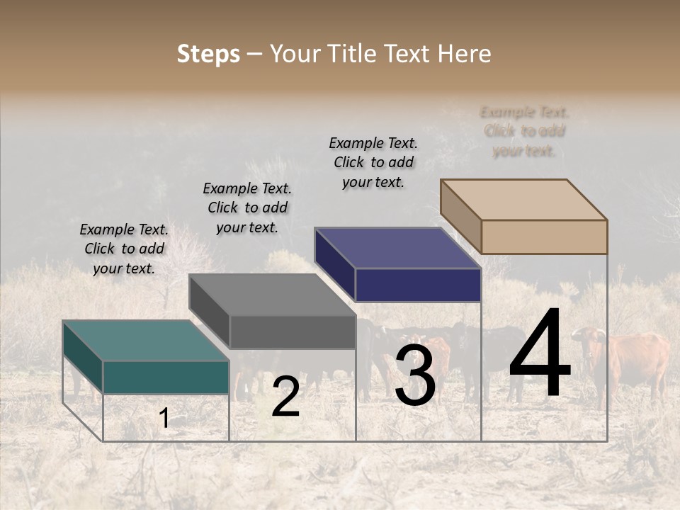 Beef Graze Eating PowerPoint Template