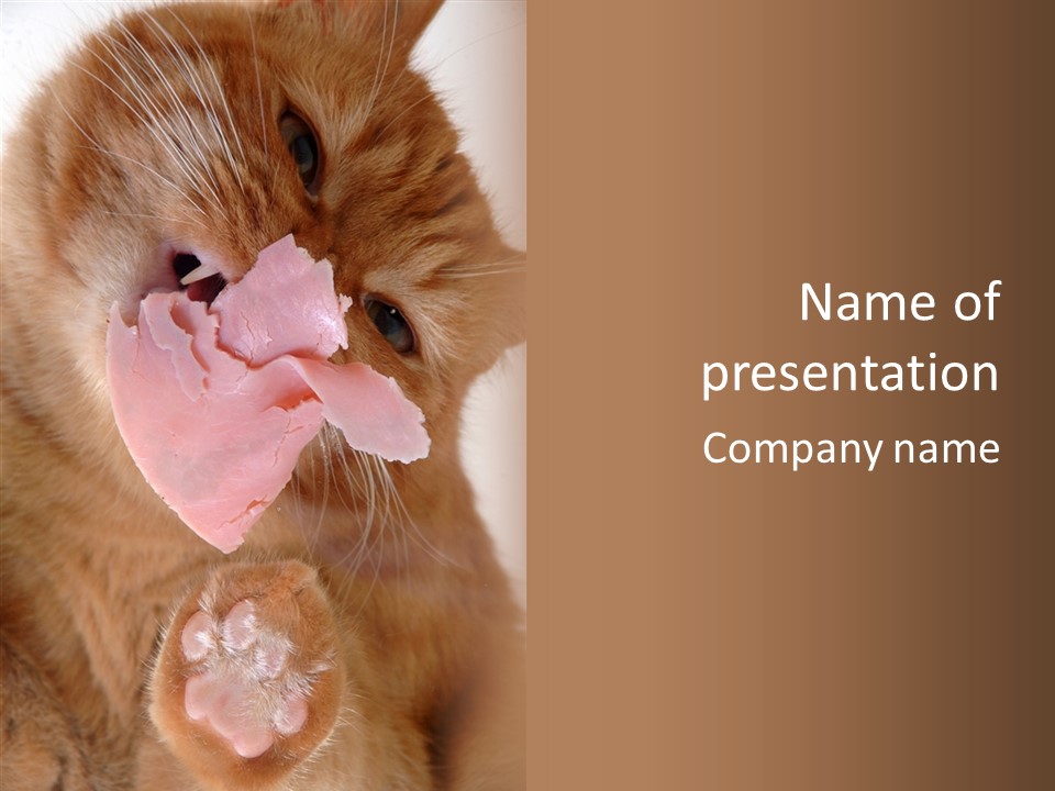 Gass Fauna Kitten PowerPoint Template