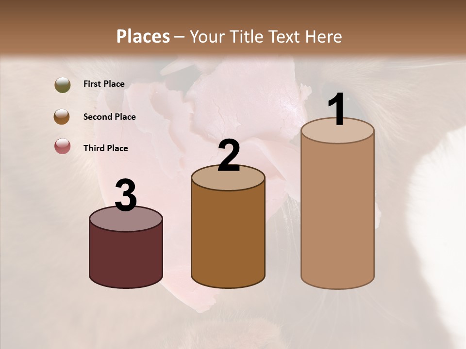 Gass Fauna Kitten PowerPoint Template