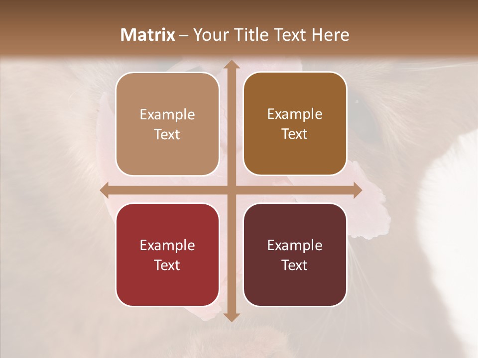 Gass Fauna Kitten PowerPoint Template