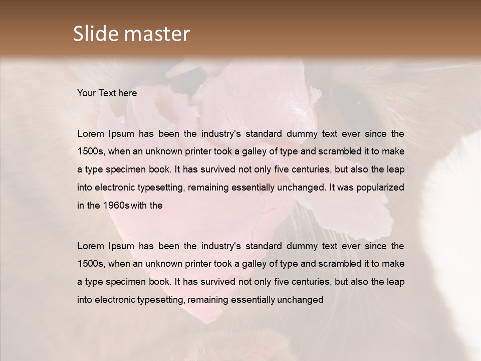 Gass Fauna Kitten PowerPoint Template