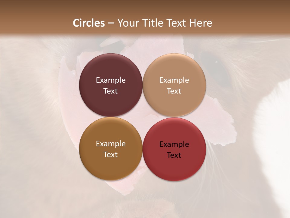 Gass Fauna Kitten PowerPoint Template