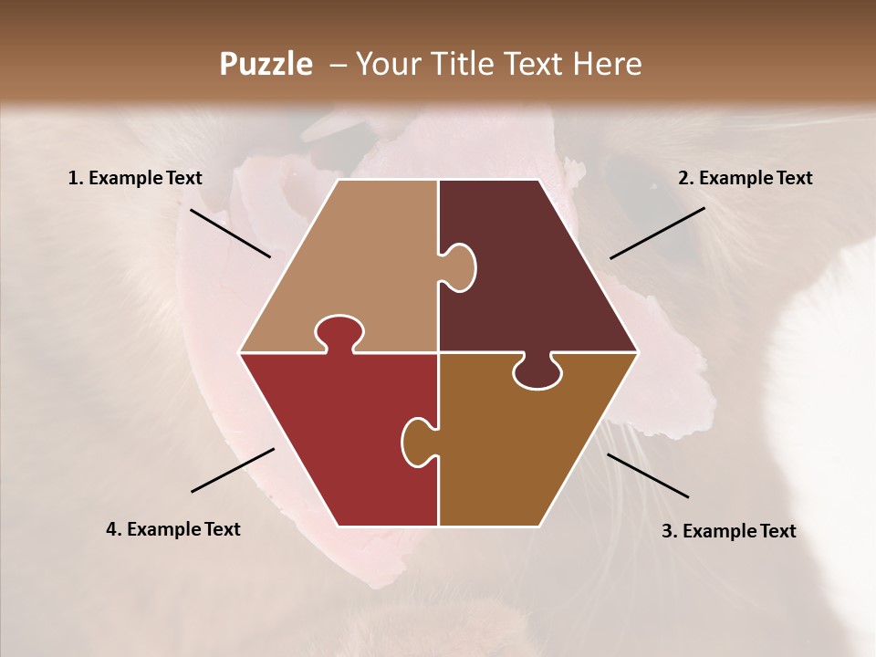 Gass Fauna Kitten PowerPoint Template