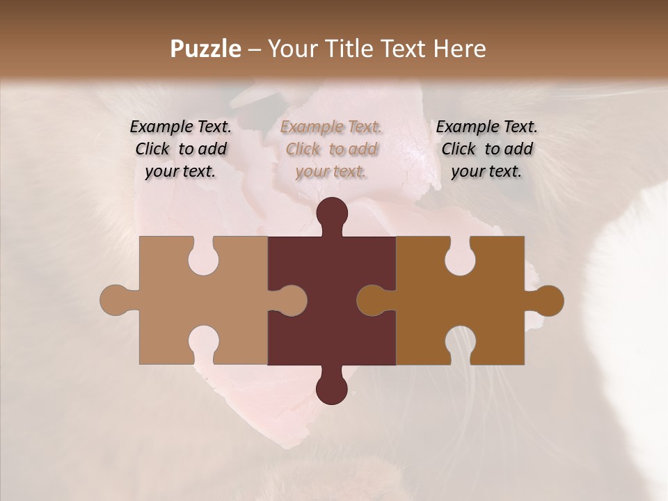 Gass Fauna Kitten PowerPoint Template