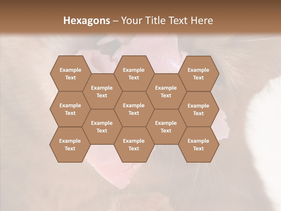 Gass Fauna Kitten PowerPoint Template