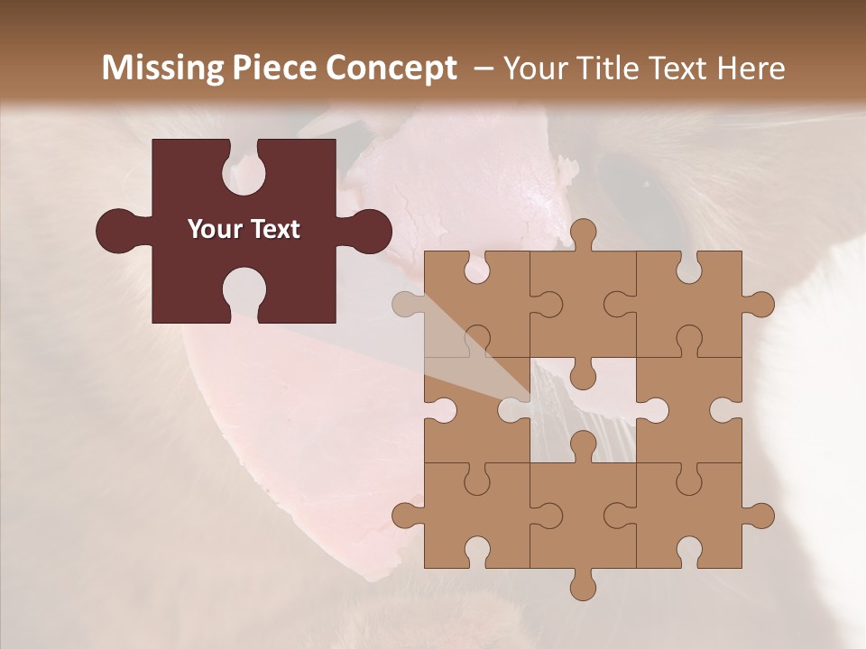 Gass Fauna Kitten PowerPoint Template