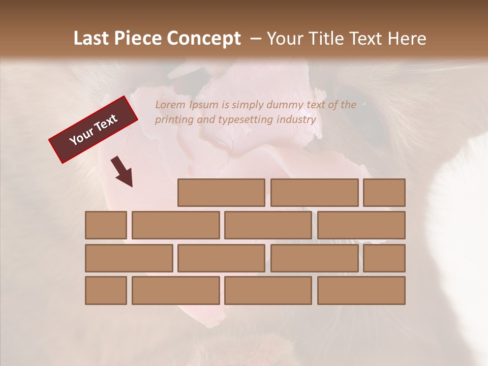 Gass Fauna Kitten PowerPoint Template