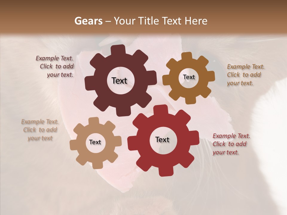 Gass Fauna Kitten PowerPoint Template