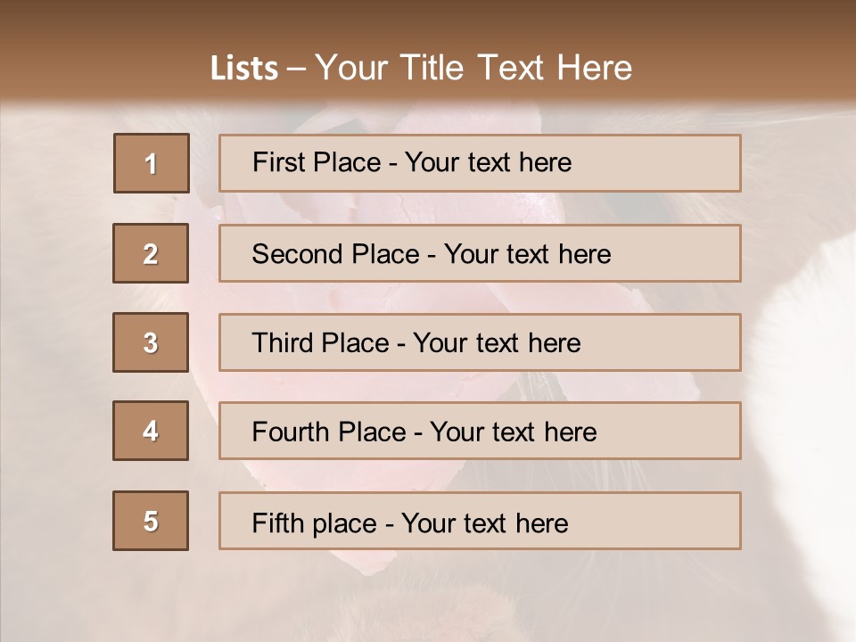 Gass Fauna Kitten PowerPoint Template