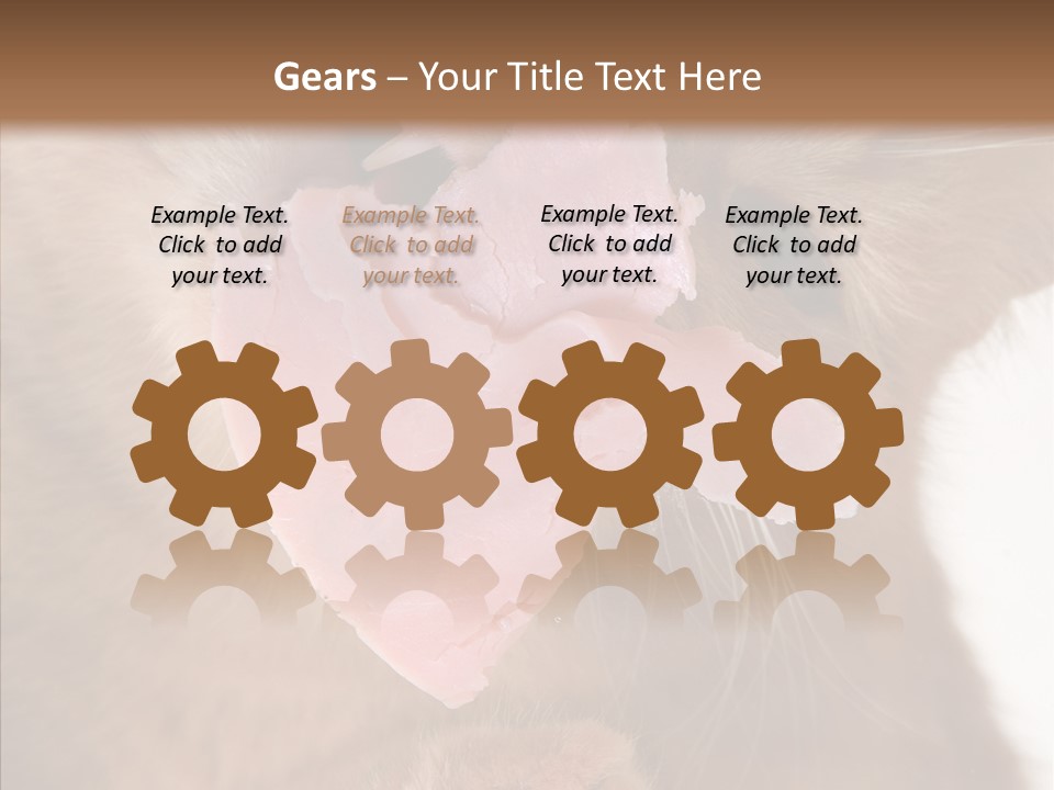 Gass Fauna Kitten PowerPoint Template