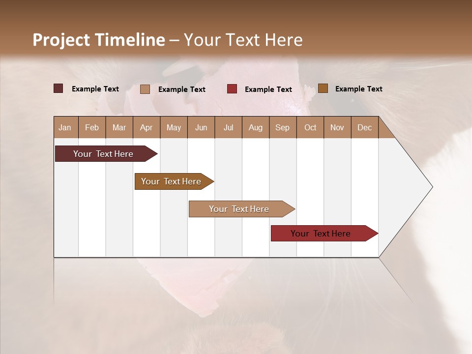 Gass Fauna Kitten PowerPoint Template