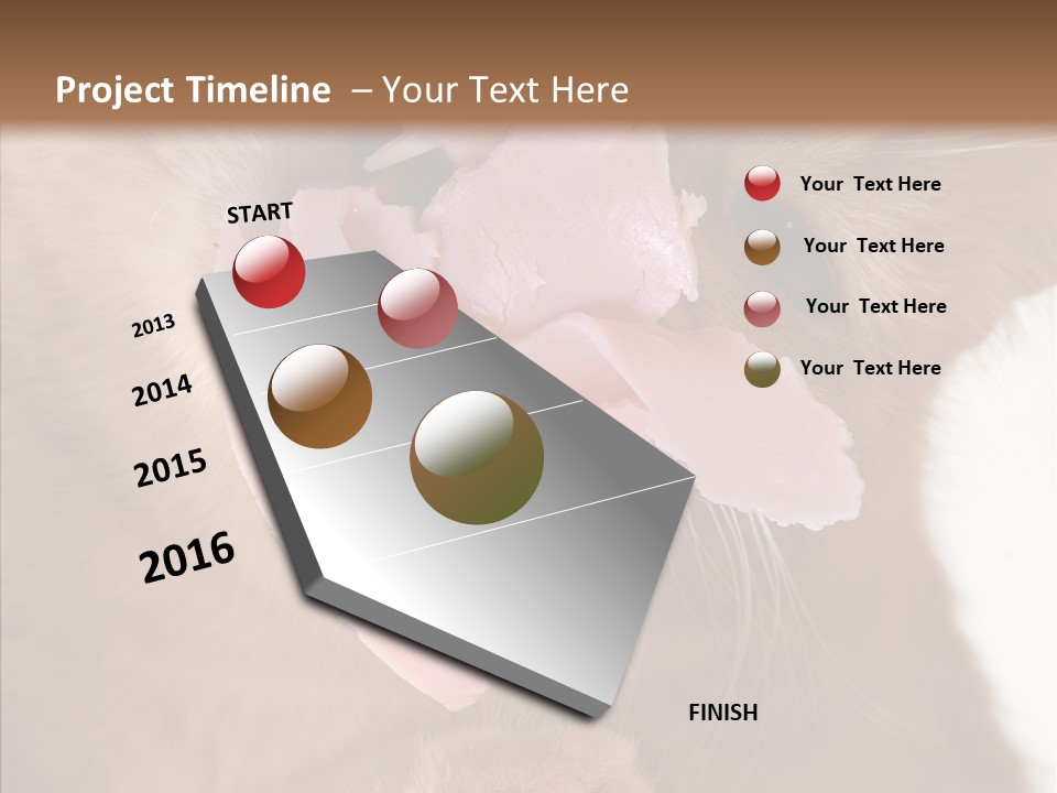 Gass Fauna Kitten PowerPoint Template