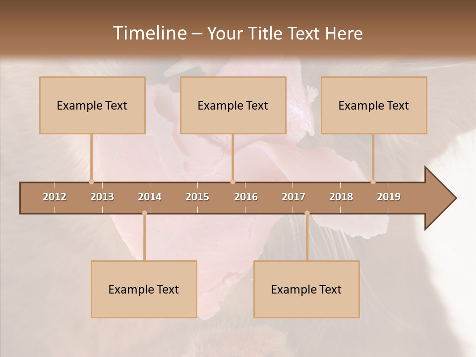 Gass Fauna Kitten PowerPoint Template