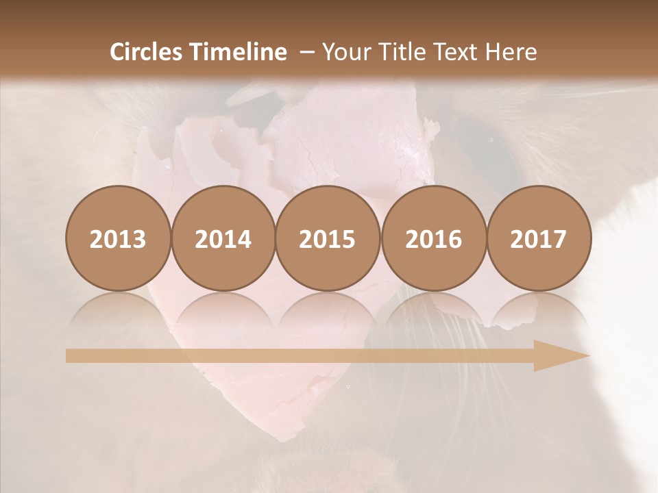 Gass Fauna Kitten PowerPoint Template