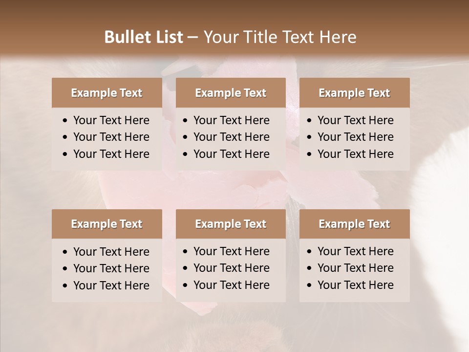 Gass Fauna Kitten PowerPoint Template